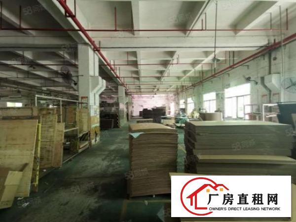  观澜福民（原房东）12楼2400层带消防喷淋牛角厂房出租