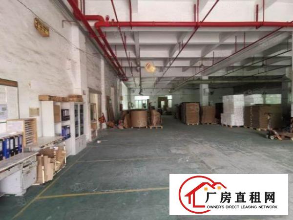  观澜福民（原房东）12楼2400层带消防喷淋牛角厂房出租
