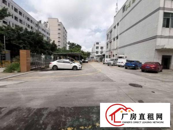  观澜福民（原房东）12楼2400层带消防喷淋牛角厂房出租