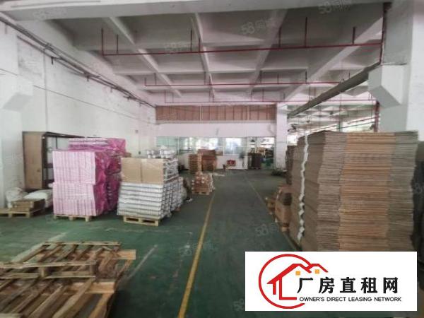  观澜福民（原房东）12楼2400层带消防喷淋牛角厂房出租
