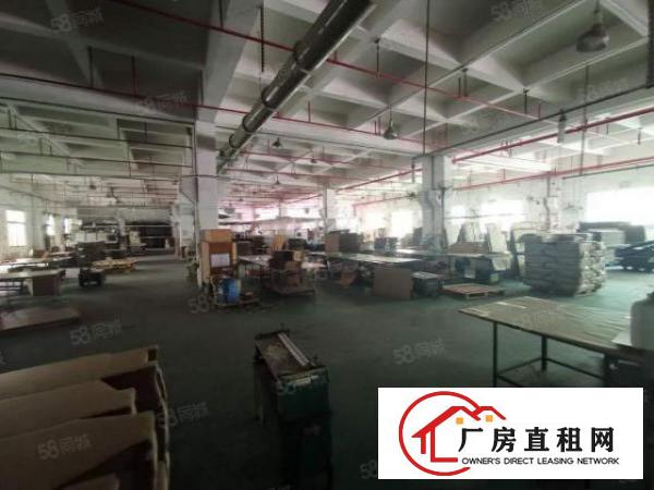  观澜福民（原房东）12楼2400层带消防喷淋牛角厂房出租
