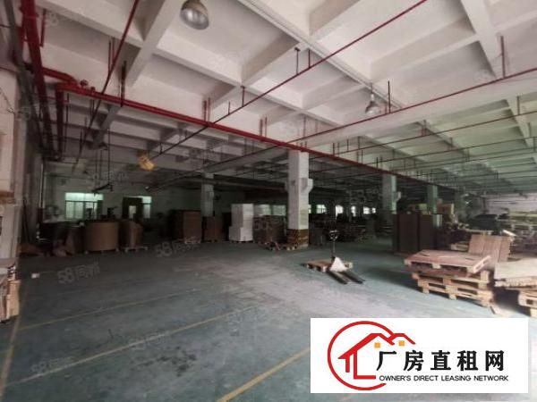  观澜福民（原房东）12楼2400层带消防喷淋牛角厂房出租