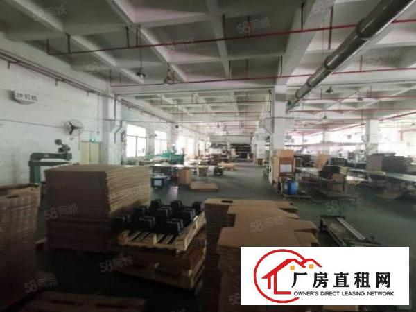  观澜福民（原房东）12楼2400层带消防喷淋牛角厂房出租