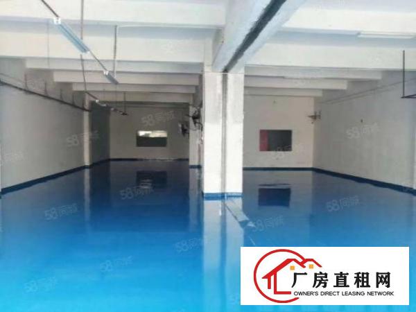  观澜新田工业园厂房四楼480平方出租分租有办公室装修水电齐全