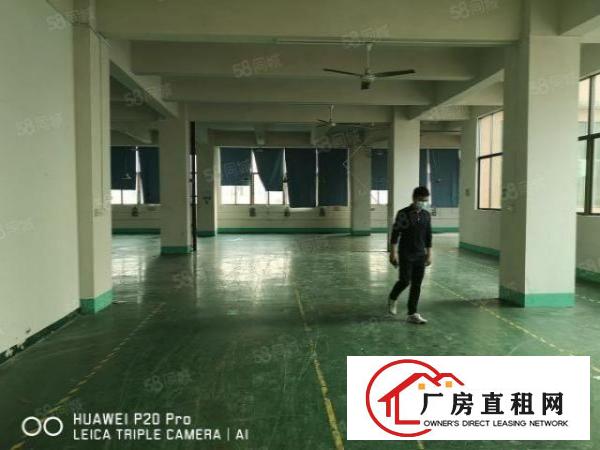  龙华区观澜12层共3700平方独院厂房招租，花园式工业园区