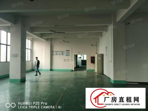  龙华区观澜12层共3700平方独院厂房招租，花园式工业园区