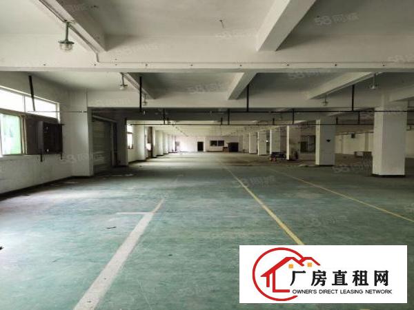  观澜松元2楼厂房分租