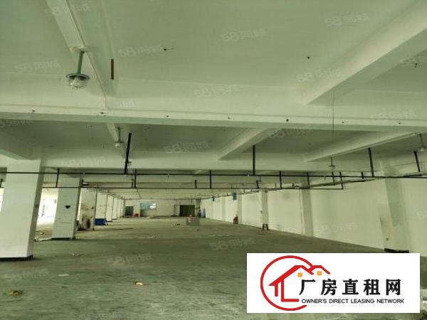  观澜松元2楼厂房分租