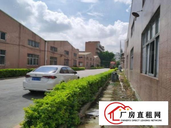  观澜章阁新出原房东单一层钢构2100平出租