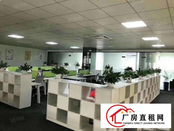 观澜桂花工业园500平带豪华装修厂房招租出租仓库全新地坪漆