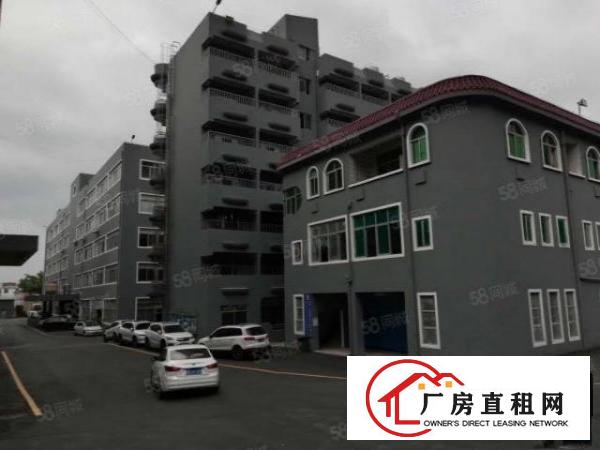  观澜桂花工业园500平带豪华装修厂房招租出租仓库全新地坪漆