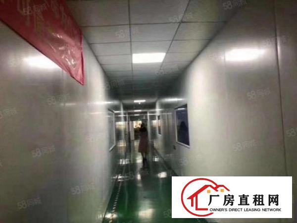  观澜桂花工业园500平带豪华装修厂房招租出租仓库全新地坪漆