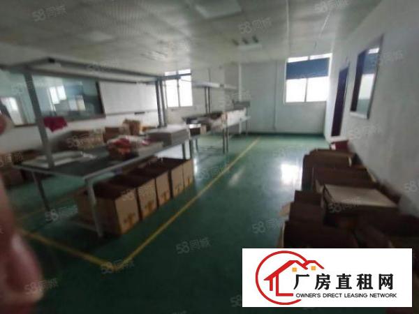  樟坑径环观南路轻轨站旁新出楼上600平方带精装修标准厂房出租