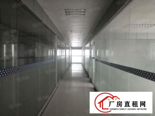  牛湖社区有电梯有宿舍合同3年有办公室吊顶