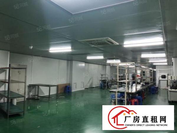  龙华观澜工业园精装修无尘车间仓库厂房出租850平价格便宜