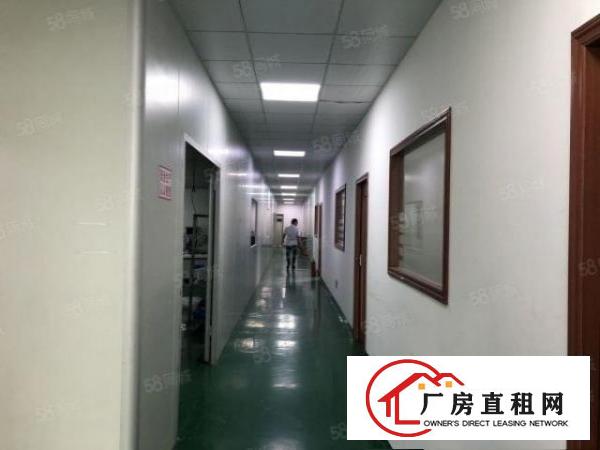  龙华观澜工业园精装修无尘车间仓库厂房出租850平价格便宜