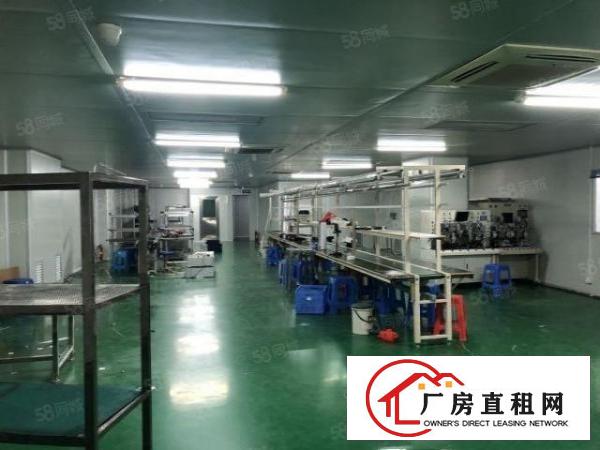  龙华观澜工业园精装修无尘车间仓库厂房出租850平价格便宜