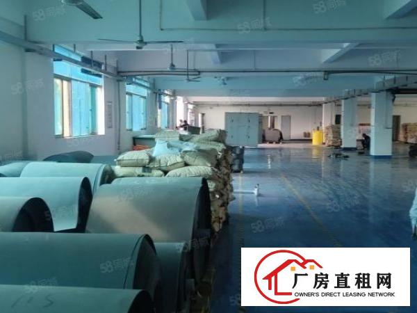  观澜新田工业园厂房出租1680平米带豪华装修地坪漆