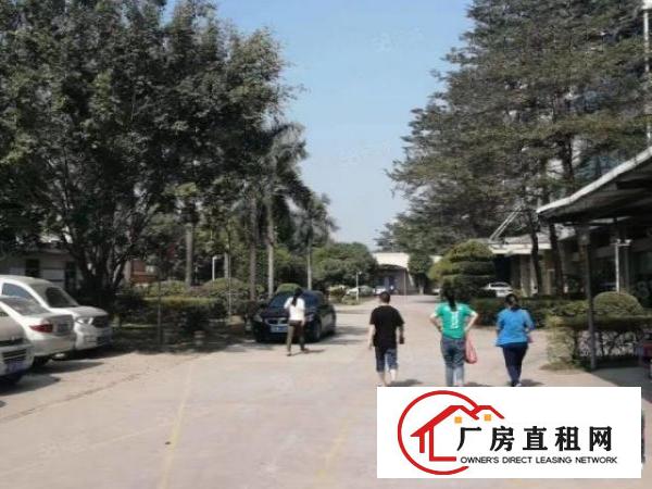  3600平独栋花园式厂房，园区形象好，交通便利，易招工