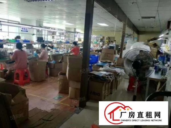  观澜樟坑径上围新出楼上900平方带装修厂房出租