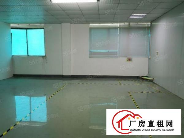  观澜福民地铁口旁新出楼上450平方带精装修拎包入住！