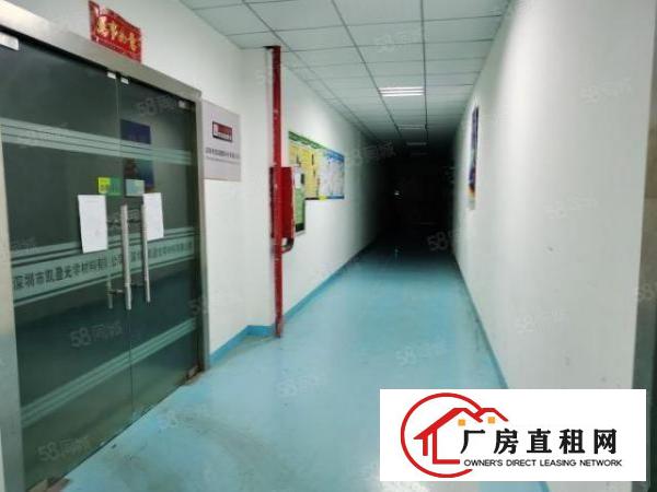  观澜福民地铁口旁新出楼上450平方带精装修拎包入住！