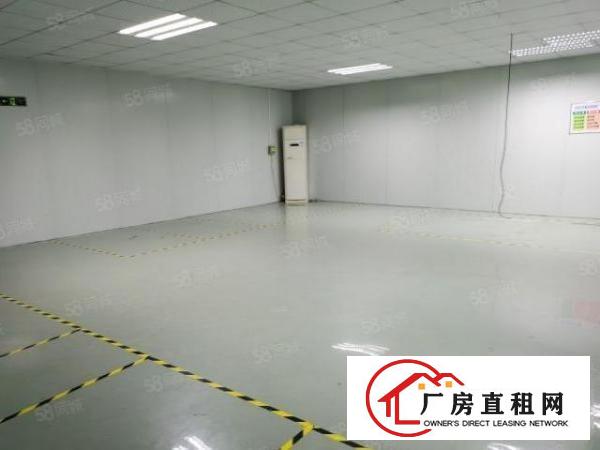  观澜福民地铁口旁新出楼上450平方带精装修拎包入住！