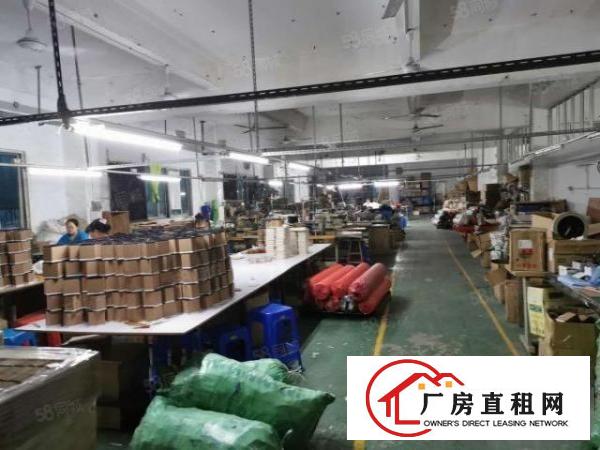  观澜福民新出楼上一整层带精装修厂房出租1200平方