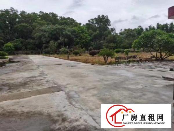  观澜独院6500平厂房出租