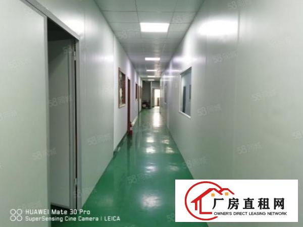  梅观与沈海立交附近无尘车间办公室空调气泵齐全豪华装修850平