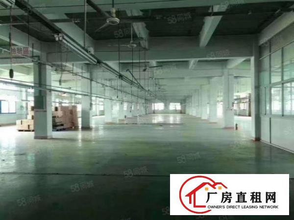 观澜福民新出原房东独门独院5000平方厂房招租