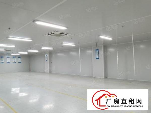  观澜多彩2000平写字楼精装出租