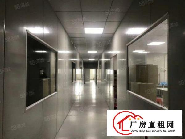 观澜桂花独门独院红本无尘车间出租500平分租