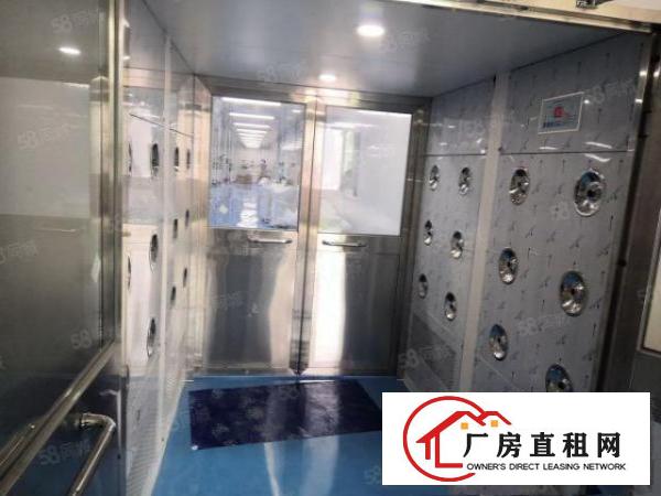  观澜桂花独门独院红本无尘车间出租500平分租