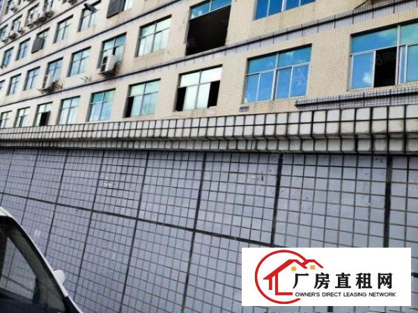  观澜桂花独门独院红本无尘车间出租500平分租