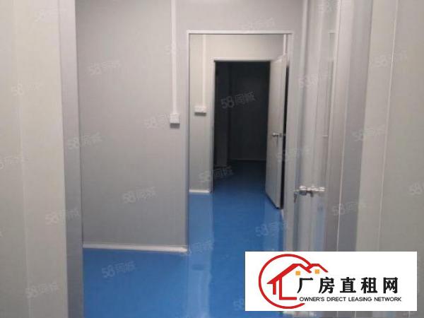  观澜桂花独门独院红本无尘车间出租500平分租