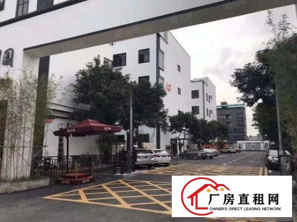  观澜全新无尘车间1500平19全包精装免转让费拎包入住级别高