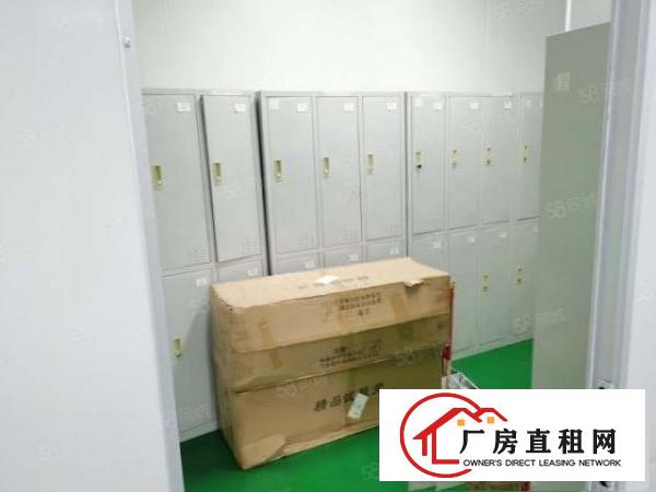  观澜全新无尘车间1500平19全包精装免转让费拎包入住级别高