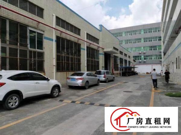  观澜8米钢结构5100平方，厂房出租