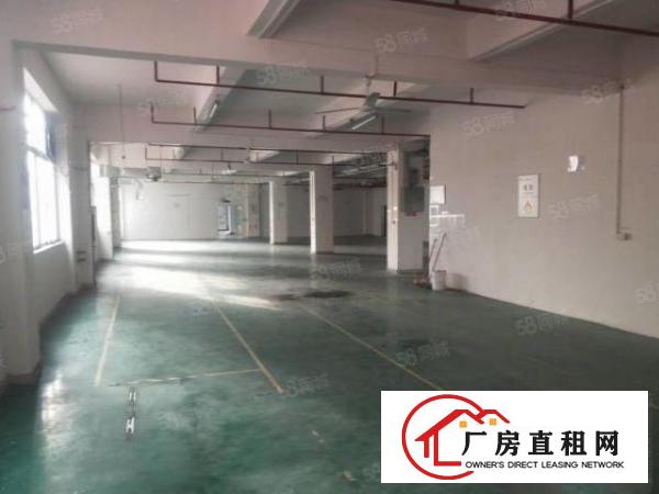  樟坑径社区水电标准有电梯有宿舍合同三年精装