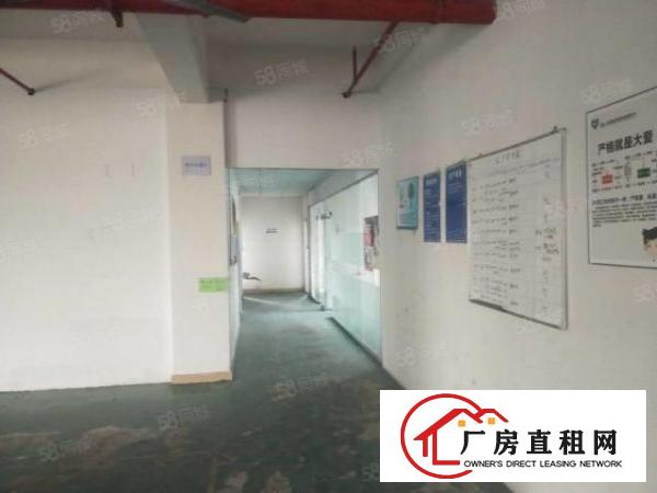  樟坑径社区水电标准有电梯有宿舍合同三年精装