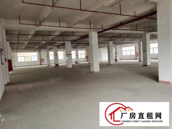  观澜汽车站边上2200平方大小分租，厂房出租