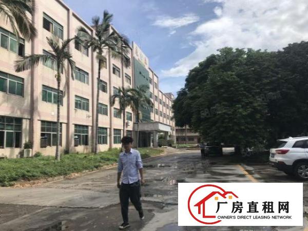  观澜梅观高速出口新出原房东厂房招租3600平