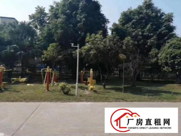  观澜梅观高速出口新出原房东厂房招租3600平