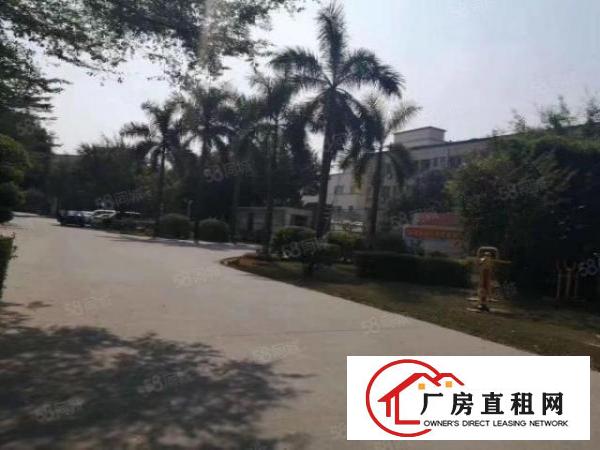  观澜梅观高速出口新出原房东厂房招租3600平