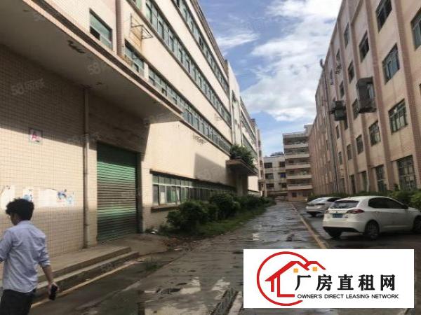  观澜梅观高速出口新出原房东厂房招租3600平