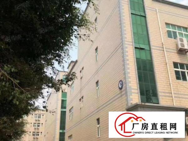  观澜梅观高速出口新出原房东厂房招租3600平