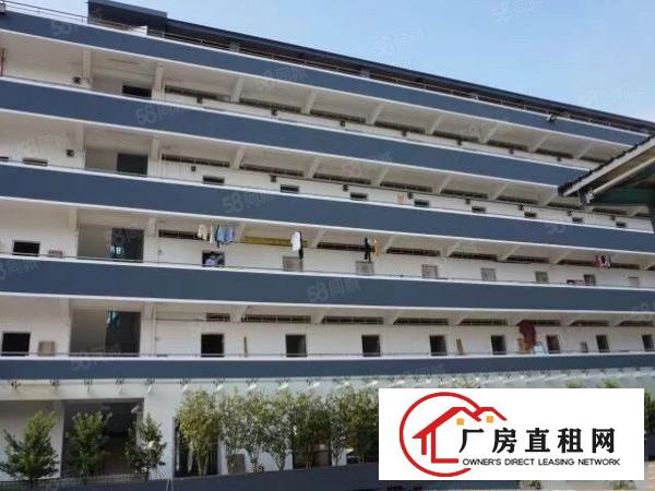  观澜章阁塘前市场附近80平米一楼办公仓库厂房业主直租