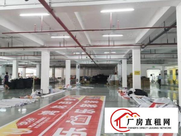  观澜牛湖新出2600平带装修厂房出租