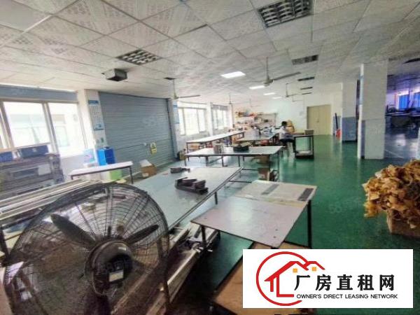  出租|观澜福民龙观快线旁900平方厂房出租大小可分租